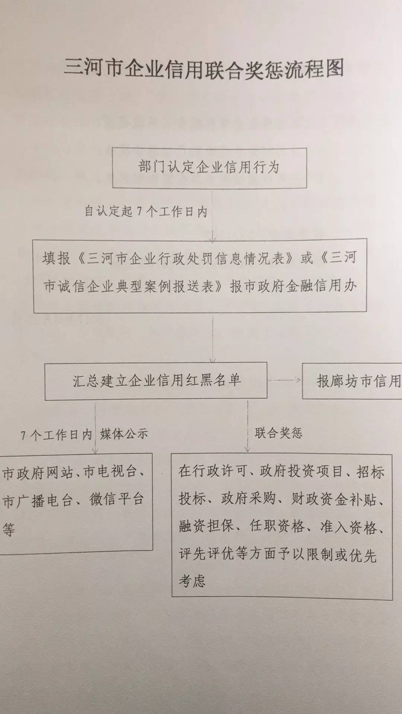 APP开发公司：引领科技潮流的新引擎